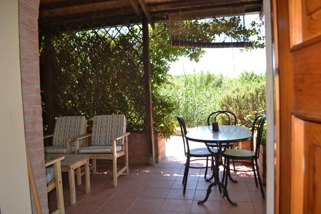 Turignano Apartment Montespertoli Dış mekan fotoğraf